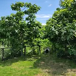 Hotel Il Corbezzolo Ripatransone