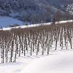 Il Corbezzolo Hotel Ripatransone