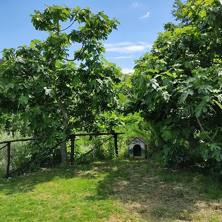 Hotel Il Corbezzolo Ripatransone