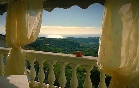 Il Corbezzolo