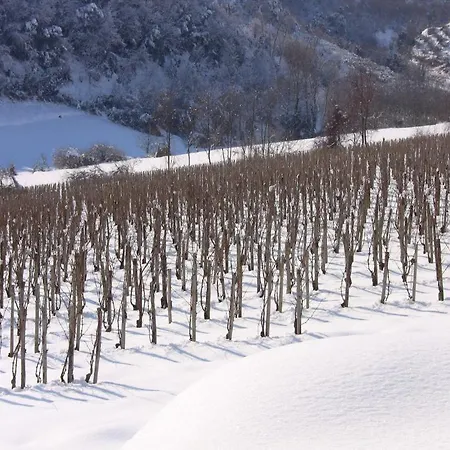 Il Corbezzolo Szálloda Ripatransone