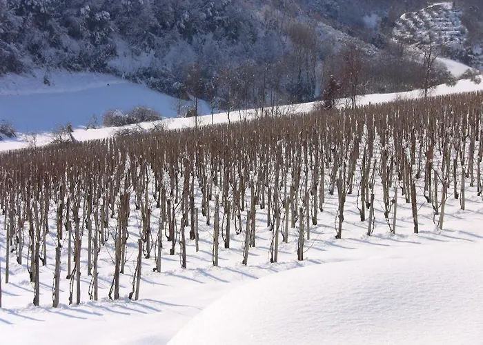 Il Corbezzolo Otel Ripatransone